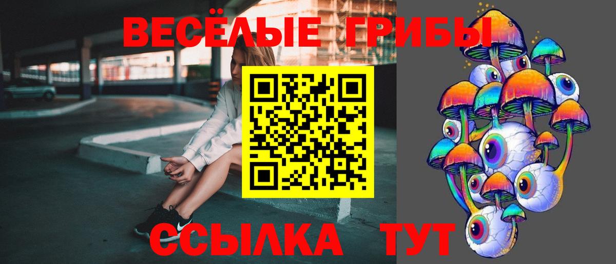 Новочебоксарск  Псилоцибиновые грибы Psilocybine cubensis  Вход с VPN  Псилоцибиновые грибы мицелий 